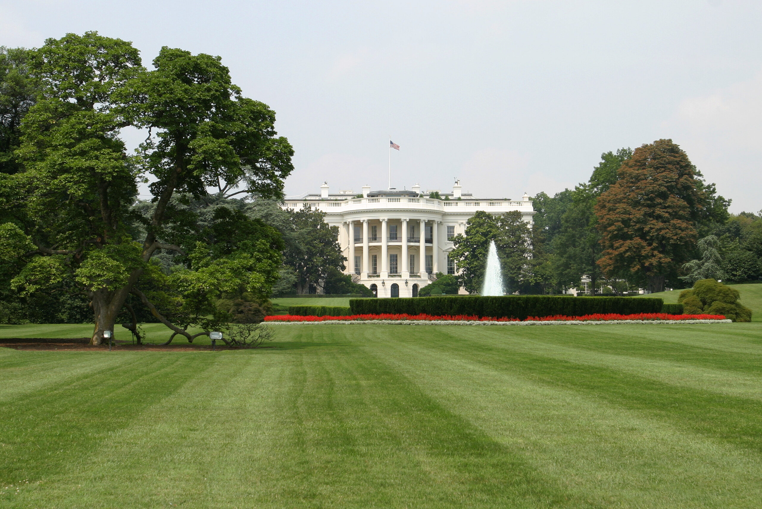 The White House, Rear